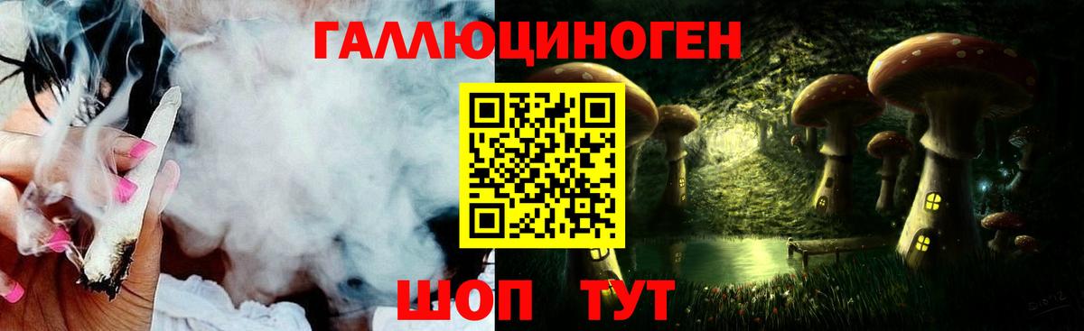 Псилоцибиновые грибы Cubensis Абинск